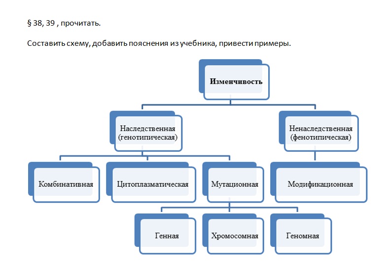 Изменчивость схема биология 10 класс